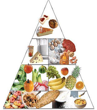 Pirámide alimentaria Chile