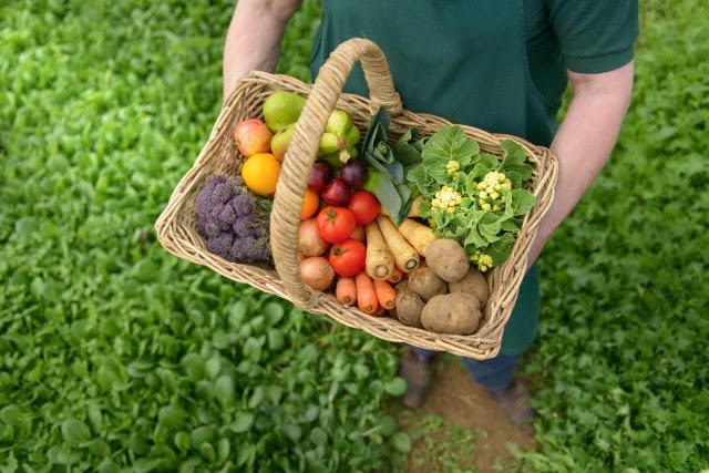 La gastronomía sostenible ¿un reto o una necesidad? | Consejo Nutricional